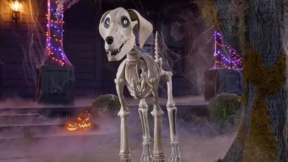 Give your skeleton a sidekick with this skeleton dog.