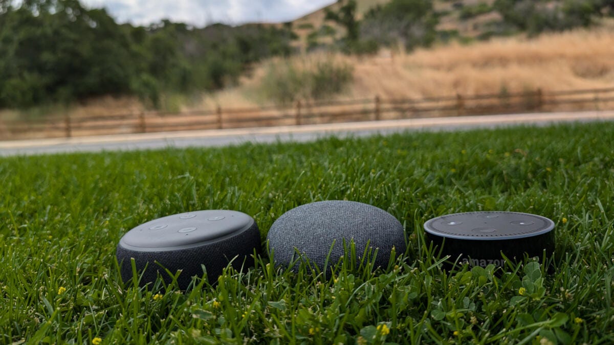 smart speakers on green grass with dry grass in background