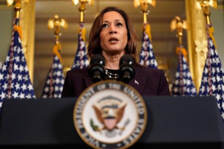 Swing-state Muslim group endorses Jill Stein, slams Kamala Harris for ‘overseeing’ Gaza war
