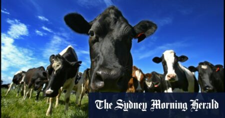 Victorian regional property speculation threatening the food we eat