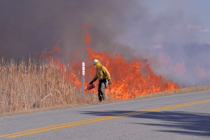 A photograph of a worker conducting a prescribed burn to prevent wildfires.
