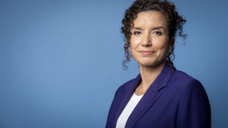 Dutch state secretary to quit over racist remarks after riots