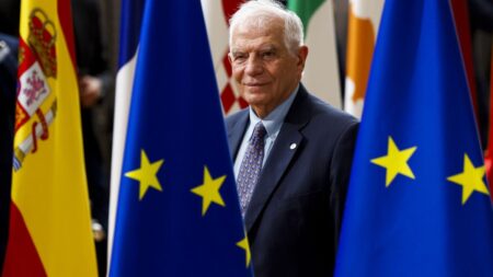 Borrell attends Israel-Palestine two-state solution conference