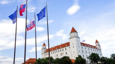 Slovakia language law sparks fears over rights of Hungarian minority