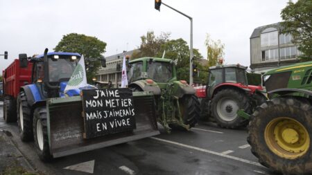 French farmers block Bordeaux port in fourth day of nationwide protest