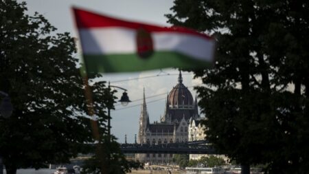 'Hostile' hackers infiltrate Hungary's defence procurement agency