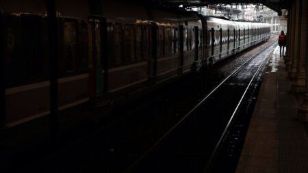 Four injured in violent axe attack on train near Paris