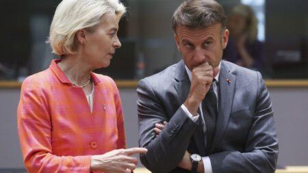 Von der Leyen won't go to COP29 in Baku, like Putin and Macron