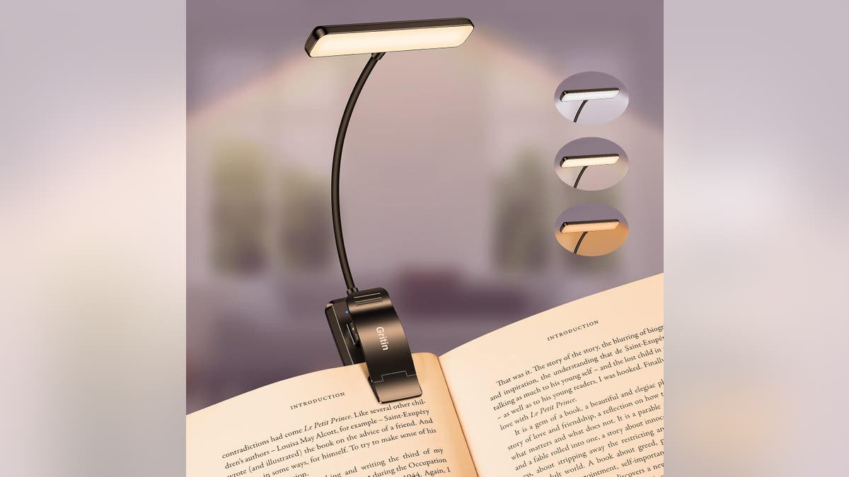A reading light provides extra hours of reading. 