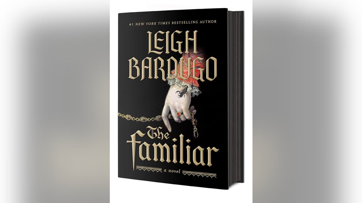 A dark, mysterious fantasy novel.