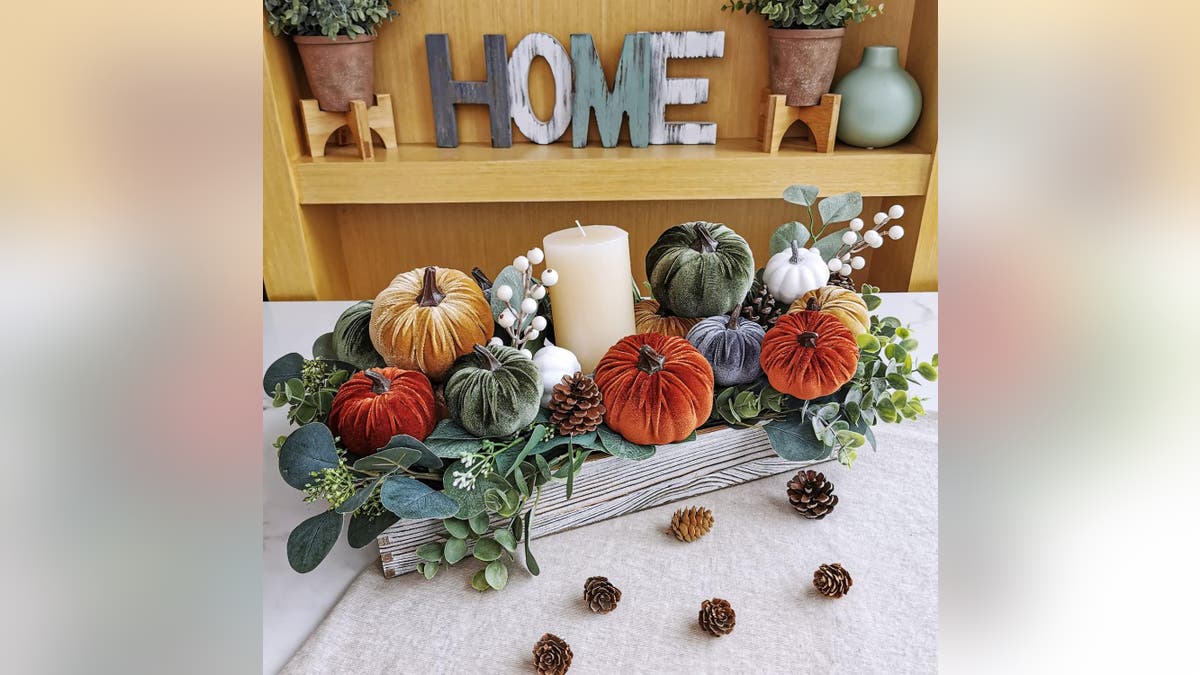 Pumpkins are a staple of Thanksgiving.