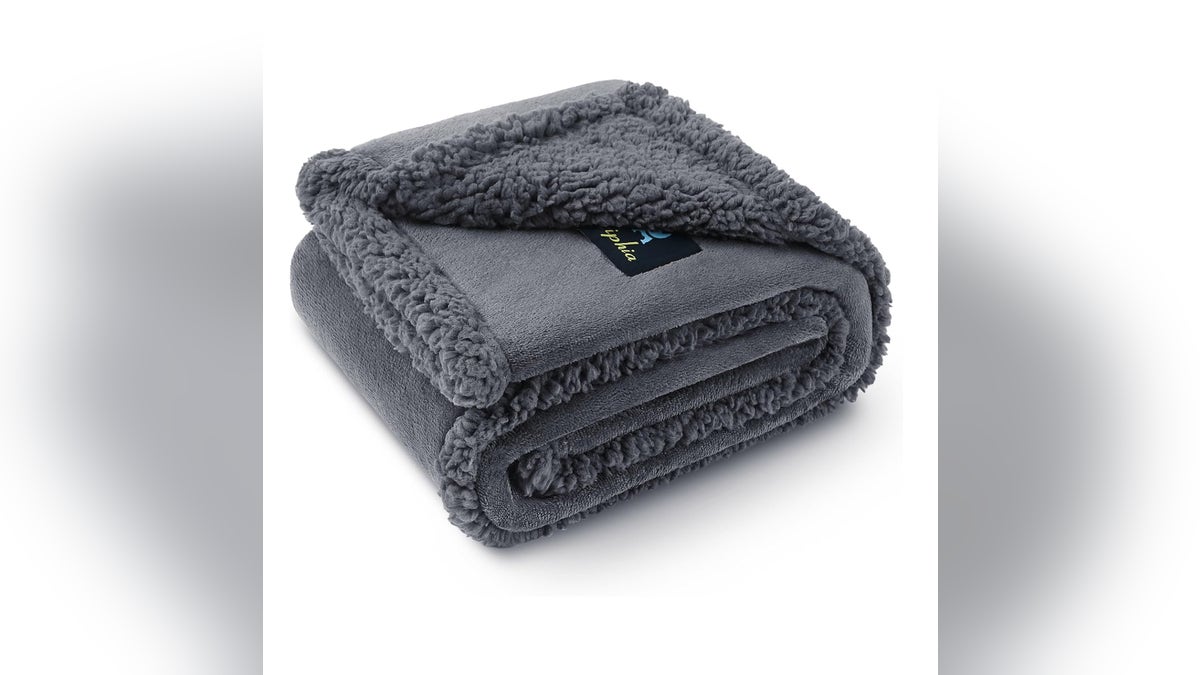Help your dog stay comfy all winter long.