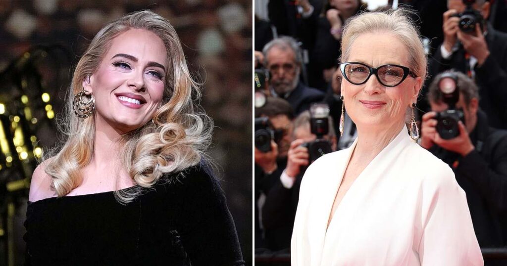 Adele Tells Meryl Streep She Loves Her at Las Vegas Show — While Wearing ‘Death Becomes Her’ Costume