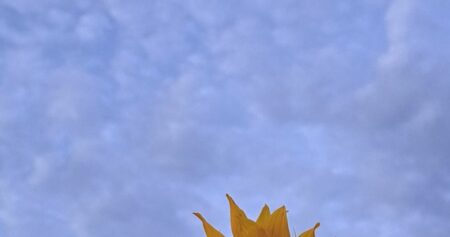 Your Saskatchewan photo of the day: November 2024