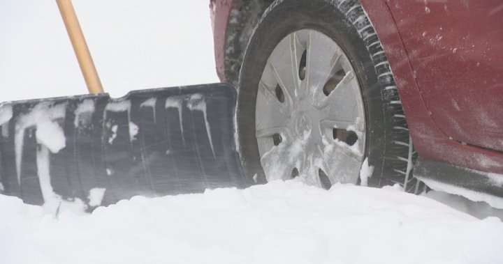 Al Ritchie Community Association calls for Regina volunteers to shovel snow