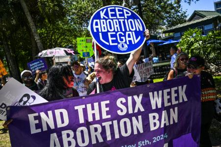 Florida Voters Fail to Enshrine Abortion Access in 2024 Election