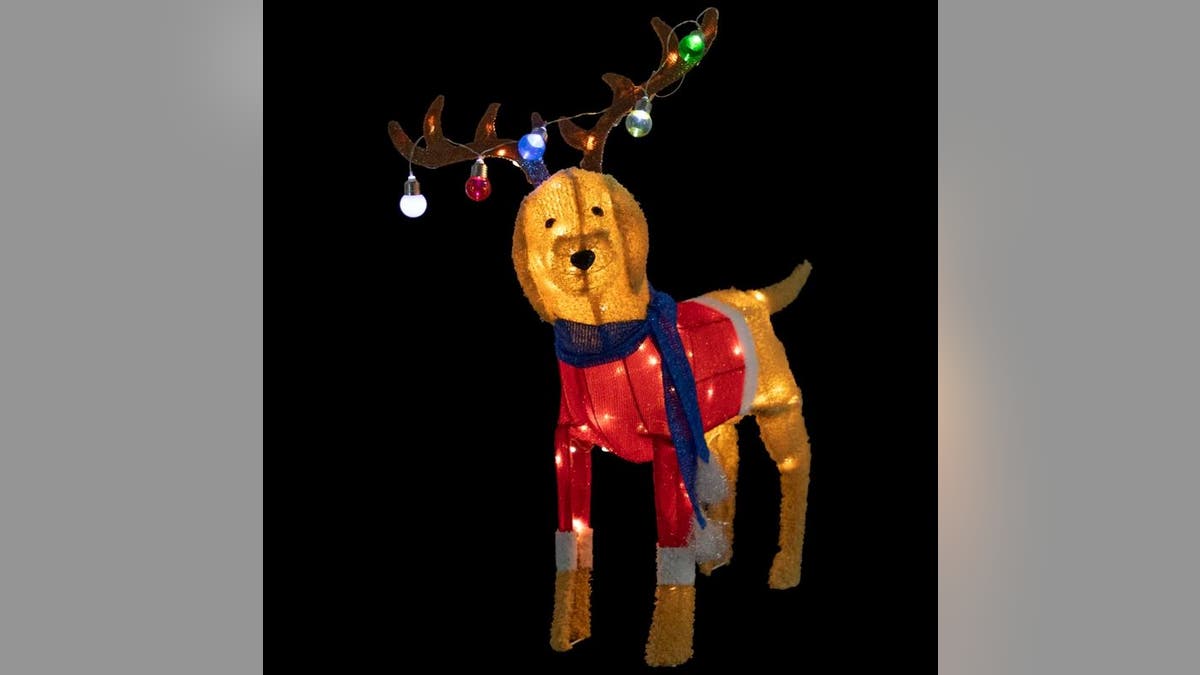 This dog with antlers is adorable.