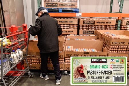 Costco recalls 10,800 batches organic eggs from a NY farm over salmonella fears