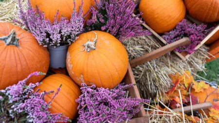 How to Use AI to Take the Guesswork Out of Planning Your Thanksgiving Dinner
