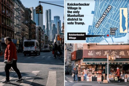 Exclusive | Inside the only Manhattan voting district that favored Trump in the 2024 presidential election: ‘It used to be a safe city’