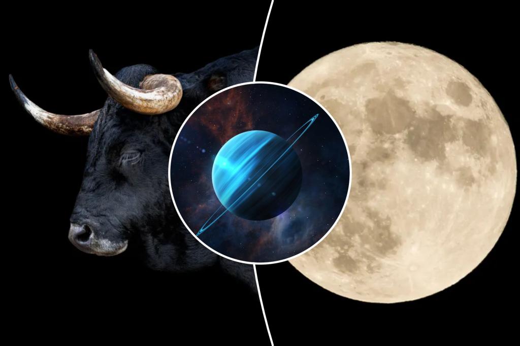 Full moon in Taurus is coming — hold on and ride it til’ it bucks you