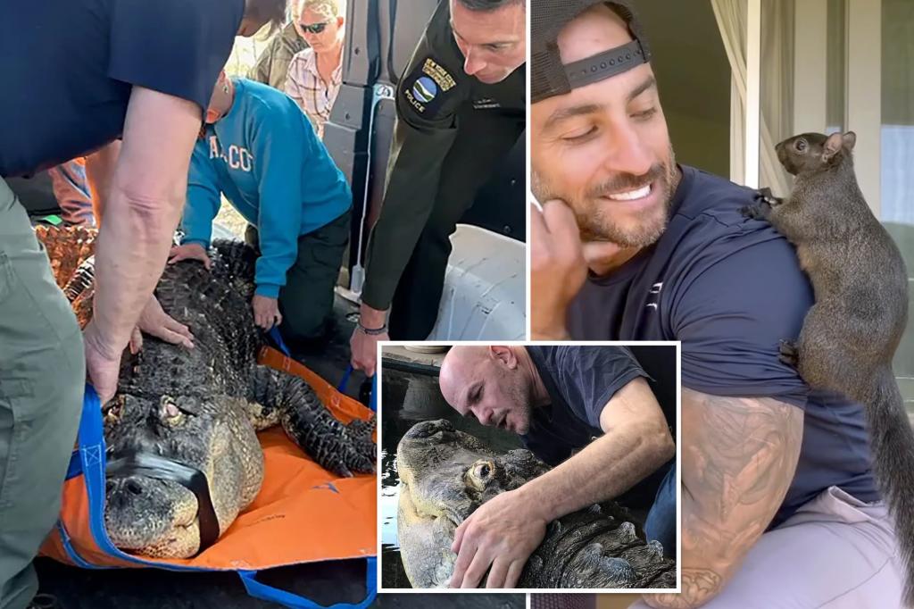 Exclusive | Albert the alligator’s owner issues dark warning after P’Nut the squirrel’s demise