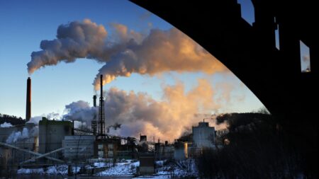 EU's corporate due-diligence rowback raises ‘deep concerns’ from left