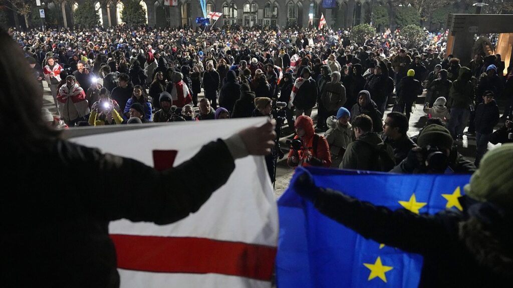 MEPs visit Georgia and march with pro-EU protesters
