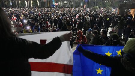 MEPs visit Georgia and march with pro-EU protesters