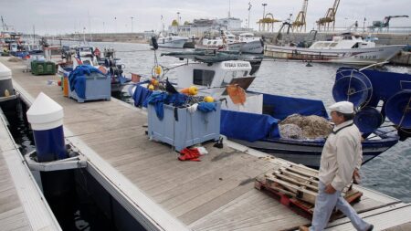 EU ministers reach compromise on fishing quotas for overfished Mediterranean