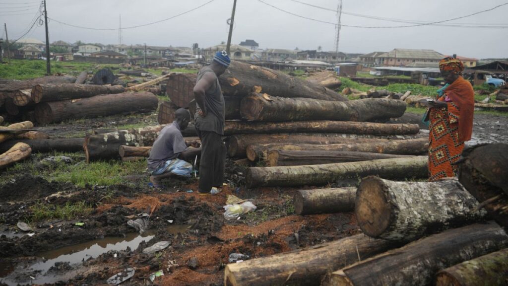 Centre-right cries victory, NGOs cry foul over deforestion law delay