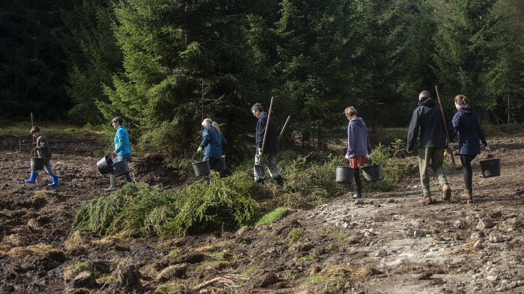 Green groups face cash squeeze as EU reconsiders financial support