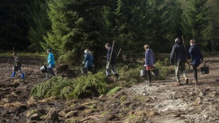 Green groups face cash squeeze as EU reconsiders financial support
