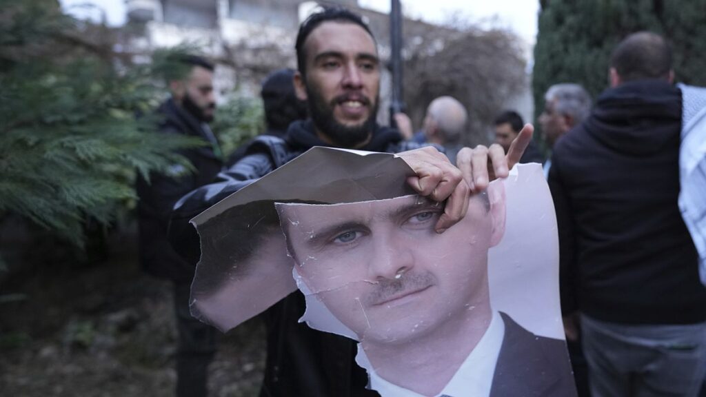 Syrian diaspora across Europe react to downfall of Assad