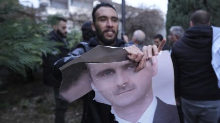 Syrian diaspora across Europe react to downfall of Assad