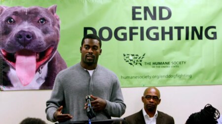 PETA comments on Michael Vick hiring by Norfolk State Football team: 'Charming, charismatic psychopath'