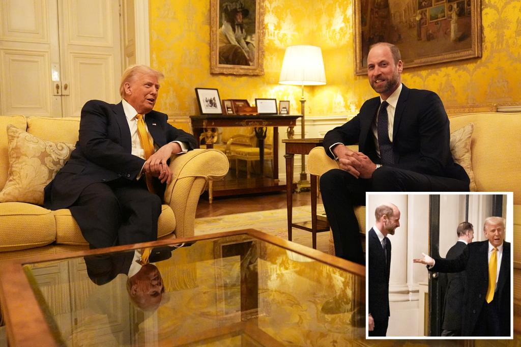 Trump meets with Prince William in Paris after Notre Dame ceremony, calls him a ‘great man’