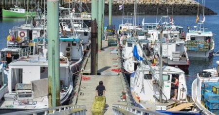 Deal between Ottawa and N.S. First Nation over contested fishery nearly done: lawyer