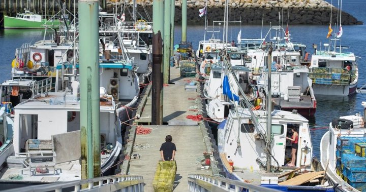 Deal between Ottawa and N.S. First Nation over contested fishery nearly done: lawyer