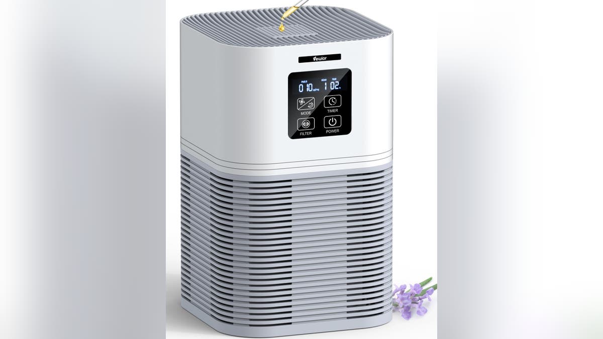 Breath better with an air purifier.