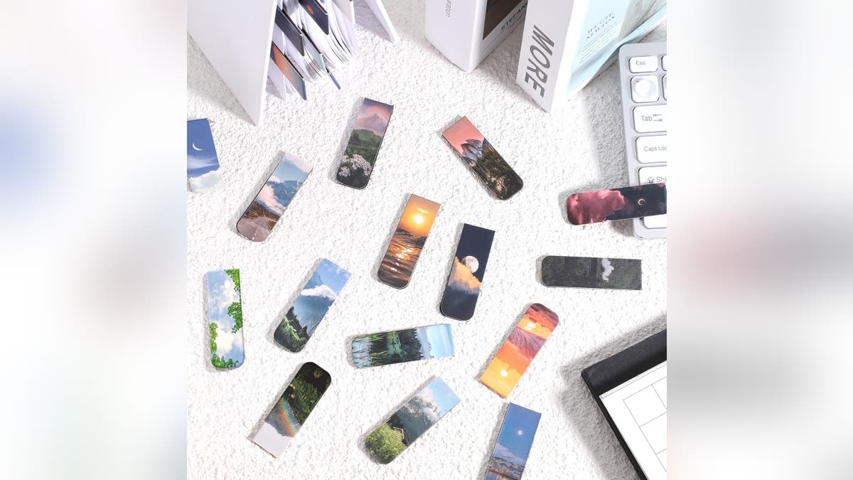 A giant pack of magnetic bookmarks.