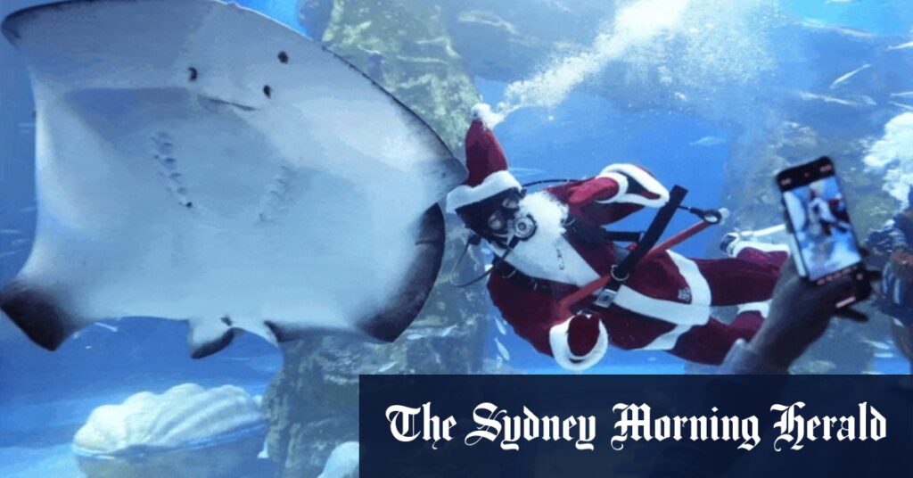 Christmas 2024 around the world – in pictures