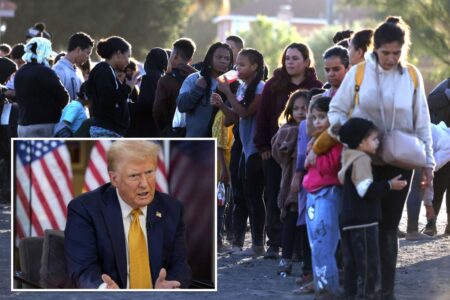Majority of New Yorkers support Trump’s mass deportation plan, new poll shows
