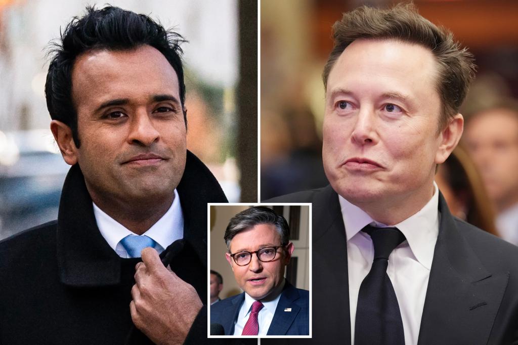 Musk and Ramaswamy press House GOP to kill federal funding bill: ‘Ever seen a bigger piece of pork?’