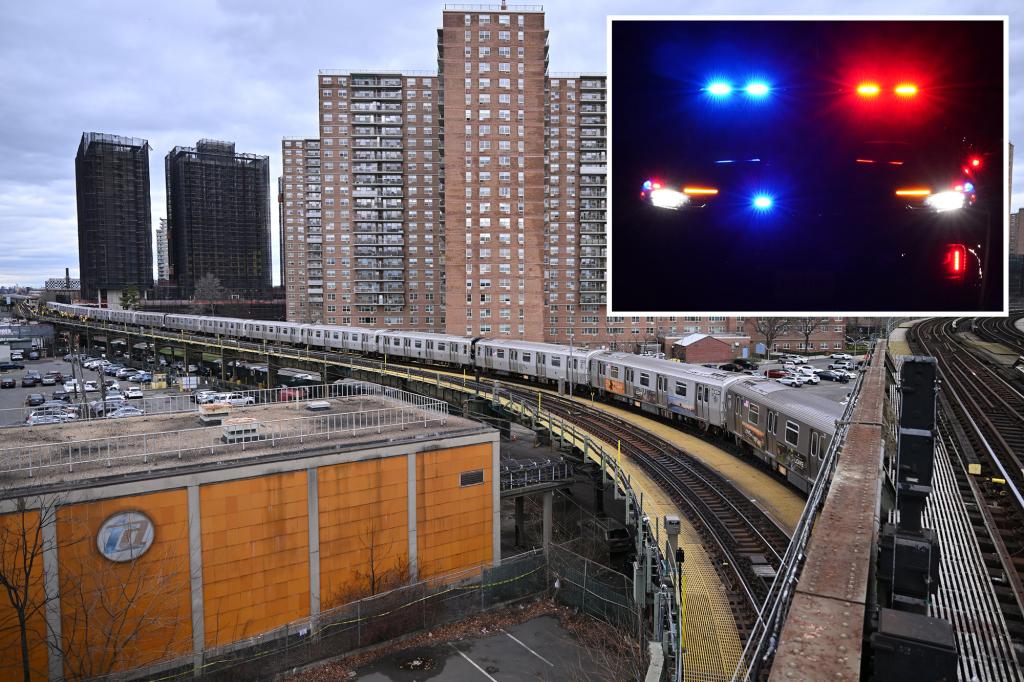 Woman dead after setting herself on fire on subway train in Coney Island: police sources