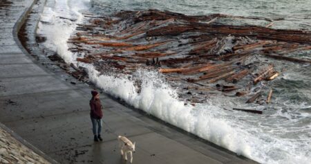 B.C coast residents again bracing for high winds amid warning