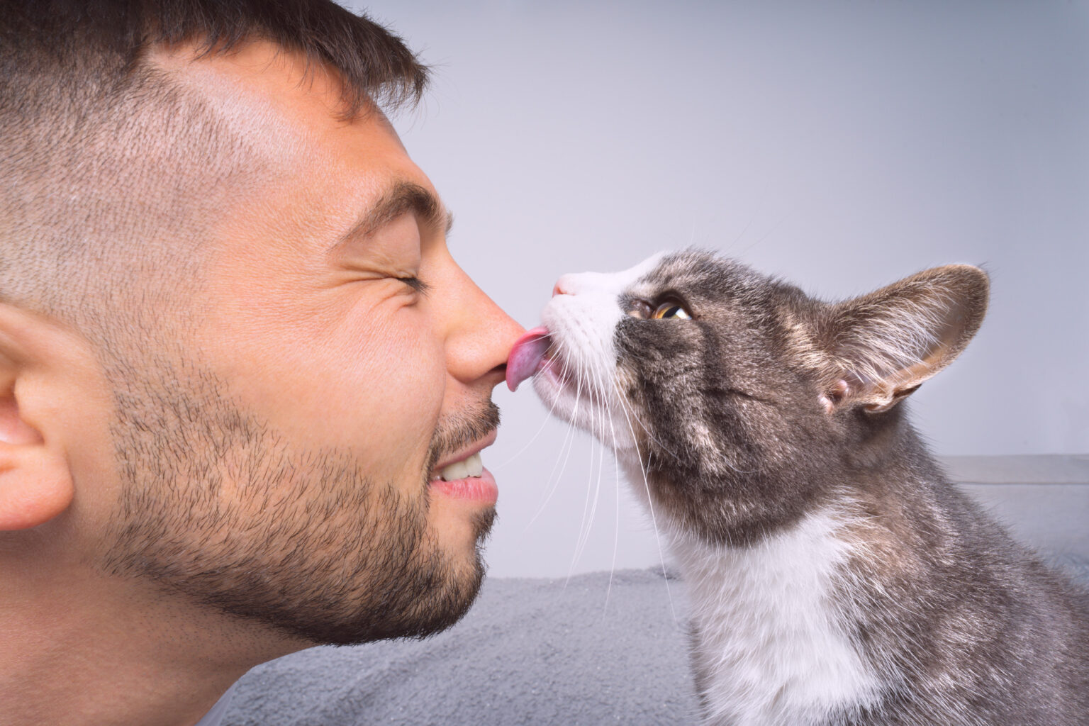 What Happens if You Stop Your Cat From Licking You? Vets Weigh In