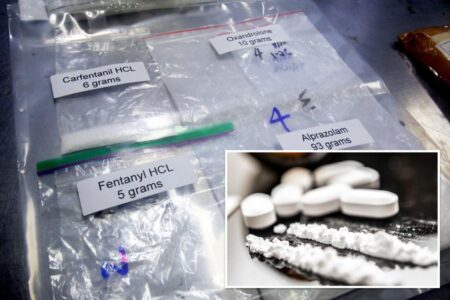 CDC warns of carfentanil, an opioid that’s 100 times more potent than fentanyl