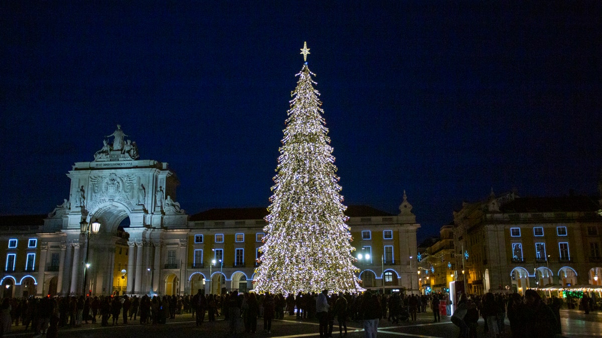 Christmas tree in Portugal