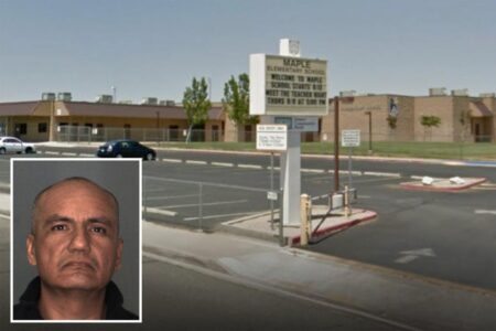 Elementary school janitor jailed for 5 years after ‘mentally ill woman’ lied he was raping kids: lawsuit